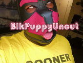 BlkPuppyUncut